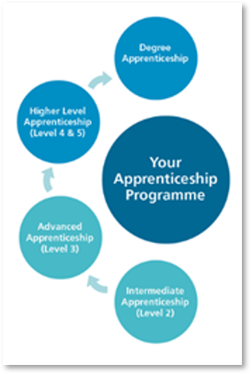 Apprenticeship flow chart