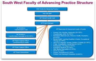 SW advanced practice Faculty Structure diagram