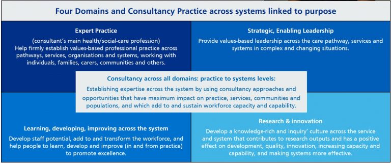 Consultant Level Practice Advanced Practice