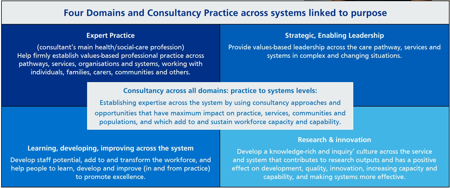 Four Domains and Consultancy Practice across systems linked to purpose