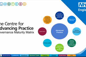 Governance Maturity Matrix