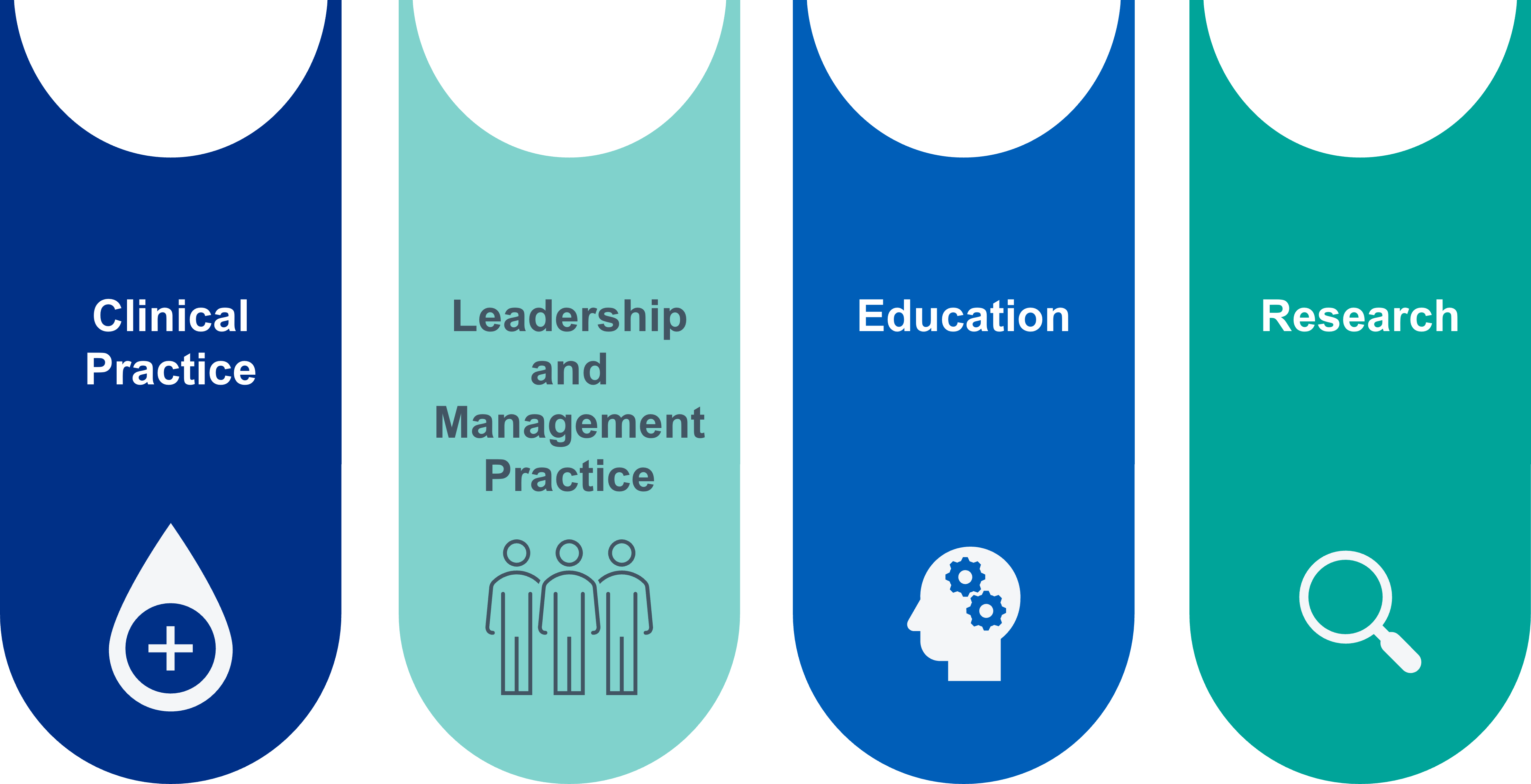 clinical practice, leadership and management, education and research