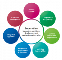 Section two: Implementing
Seven fundamental considerations Supervision Supporting practitioner development and maintaining patient safety Practice Context Competence and capability Multiple professional registrations Individual learning plan Professional development and transition Integrated approach Supervisor Development