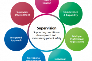 Seven fundamental considerations Supervision Supporting practitioner development and maintaining patient safety Practice Context Competence and capability Multiple professional registrations Individual learning plan Professional development and transition Integrated approach Supervisor Development