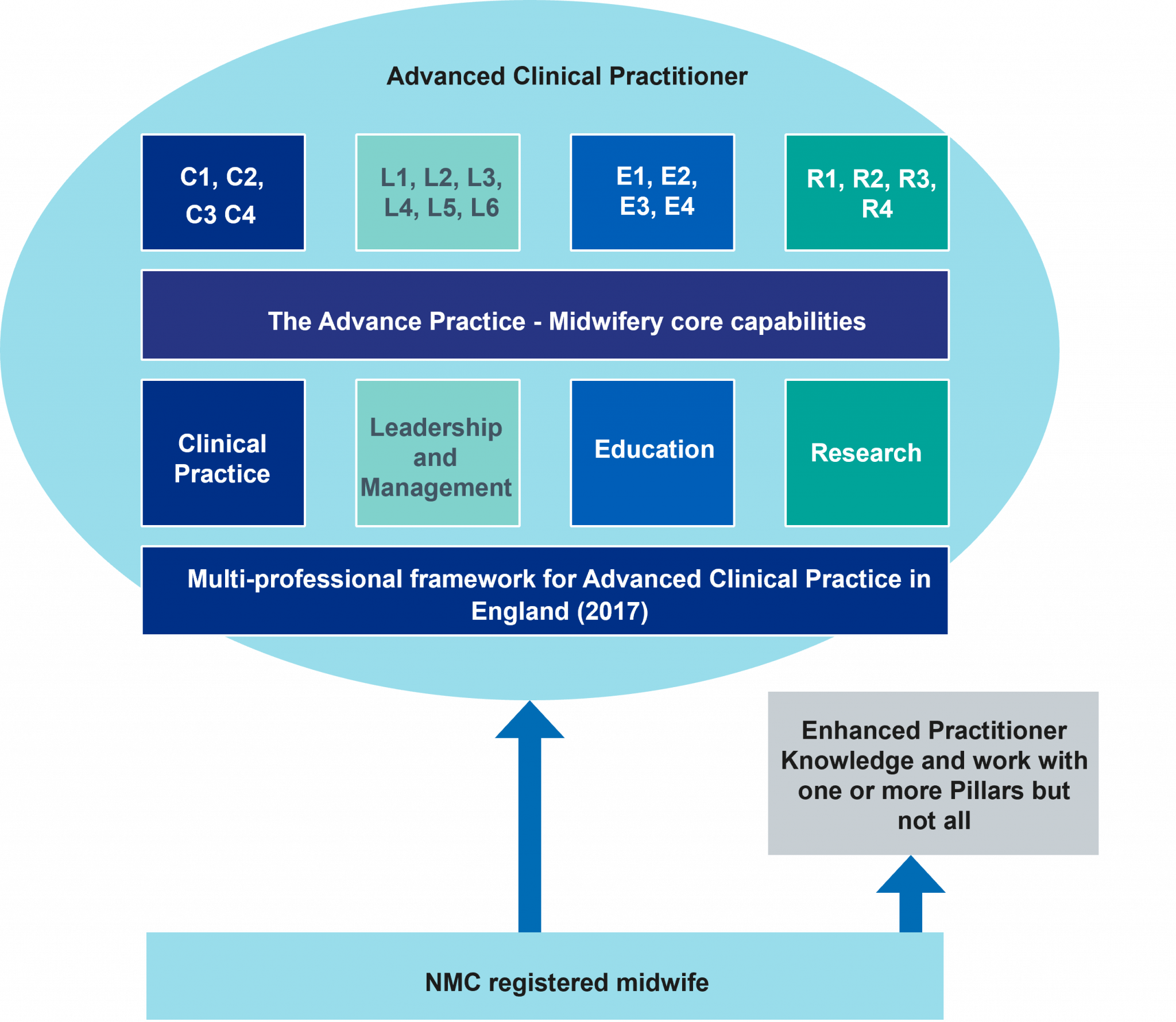 Advanced Practice in Midwifery Implementation Guide - Advanced Practice