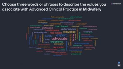 Midwifery: Capability Framework - values and attributes