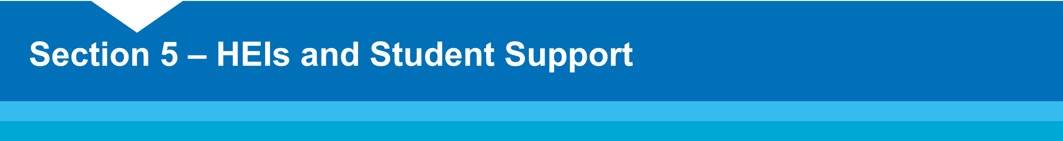 Section 5 – HEIs and Student Support