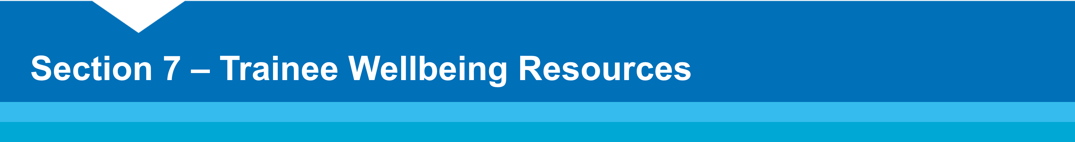 Section 7 – Trainee Wellbeing Resources