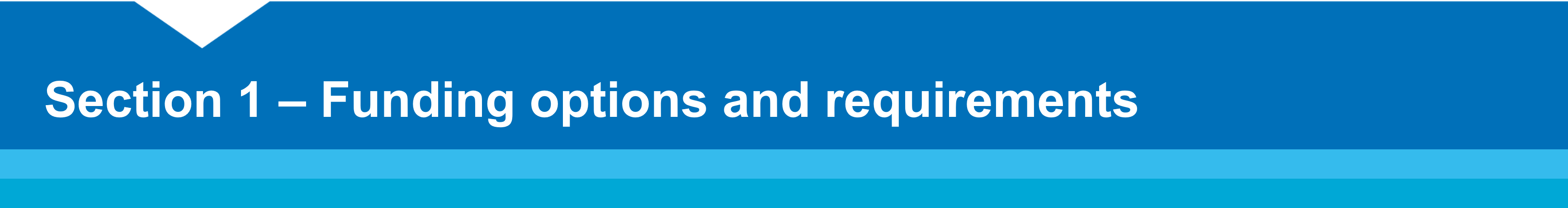 Section 1 - Funding options and requirements