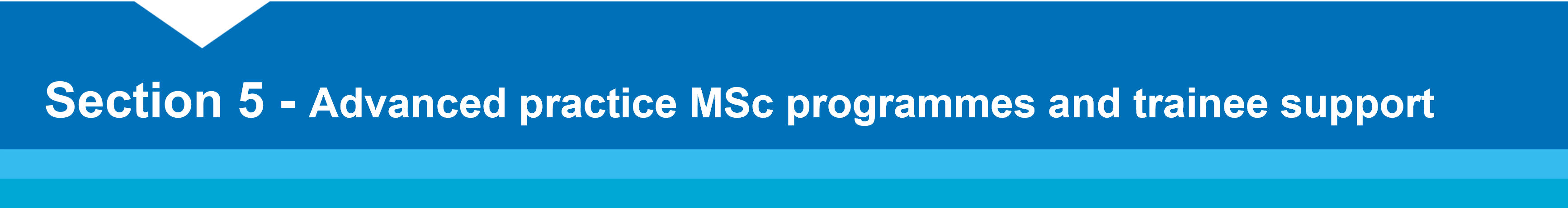 Section 5.0 – Advanced practice MSc programmes and trainee support