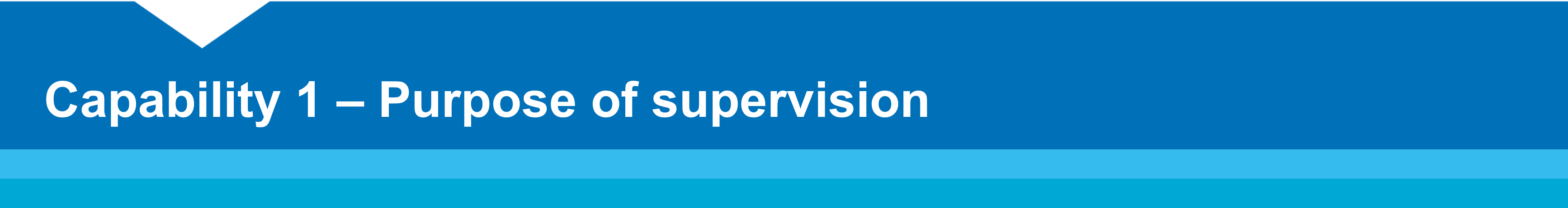 Capability 1 - Purpose of supervision