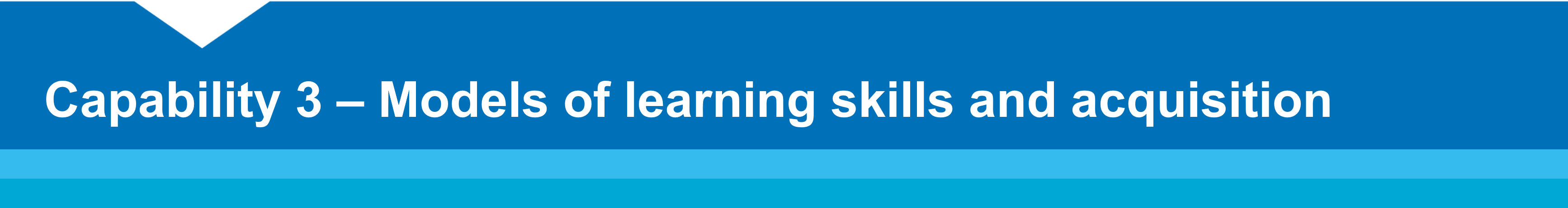 Capability 3 - Models of learning skills and acquisition 