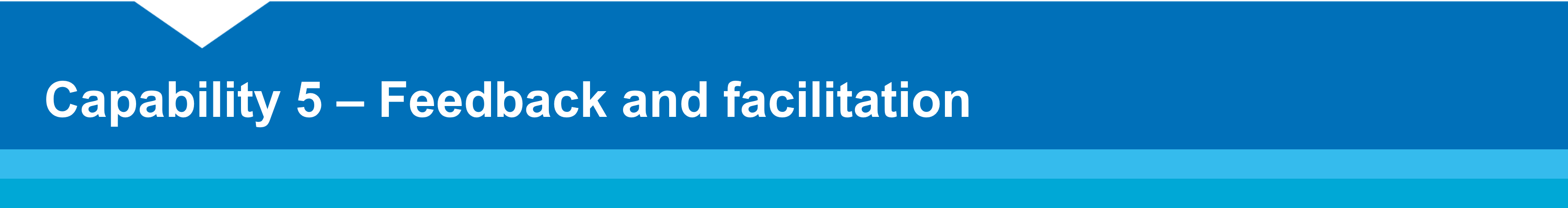 Capability 5 – Feedback and facilitation
