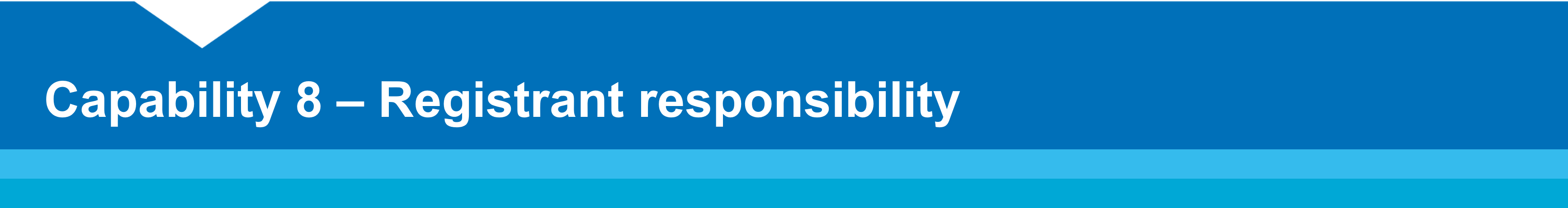 Capability 8 – Registrant responsibility