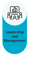 Leadership and Management Pillar
capabilities