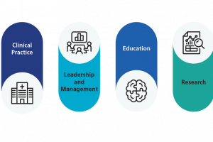 Four Pillars of Advanced Practice Clinical Practice Leadership and Management Education Research
