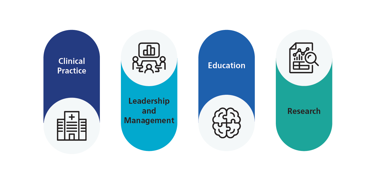 Four Pillars of Advanced Practice Clinical Practice Leadership and Management Education Research